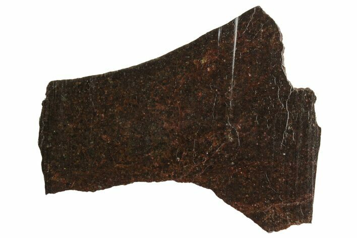 El Médano () Brachinite Meteorite Slice ( g) - Chile #243061